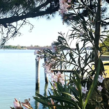 Lagoon View Terrace Lägenhet